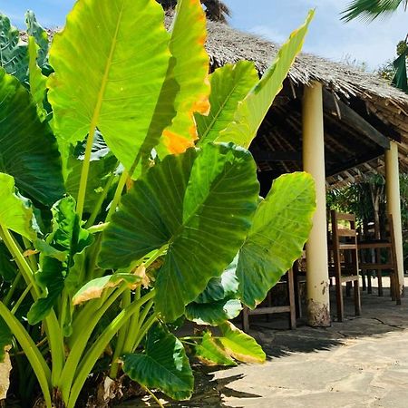 Ltorec Nyali Beach Luaran gambar