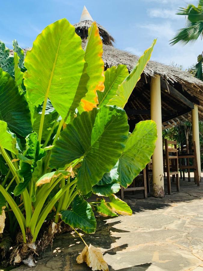 Ltorec Nyali Beach Luaran gambar